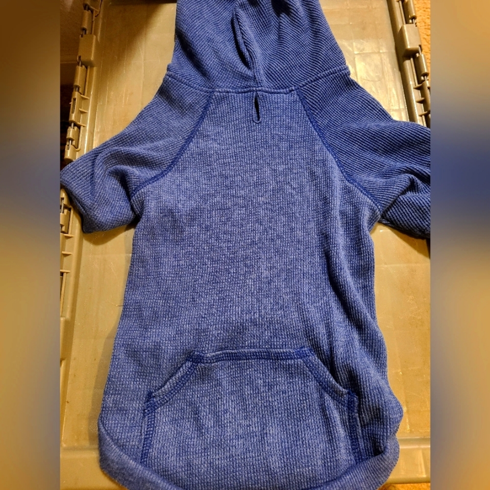 The trailblazer Hoodie for dogs